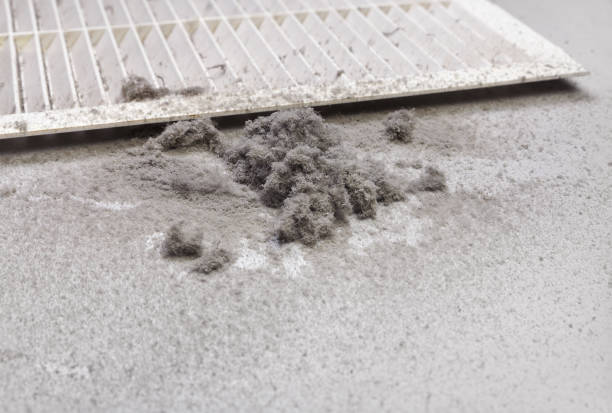 Best HVAC Maintenance and Cleaning  in Bradenton, FL