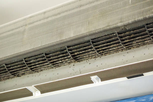 Best Air Duct Cleaning Near Me  in Bradenton, FL